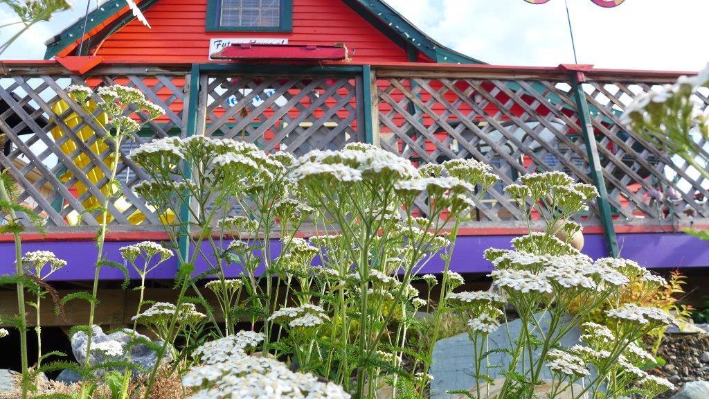 Отель Mountain Thyme Getaway Barkerville Экстерьер фото